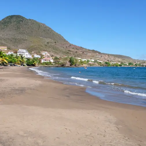 pl pet ans 3 copie.jpg