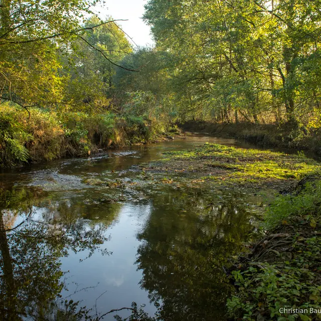 Scopidrone- Molac - octobre 2018 - _2068.jpg