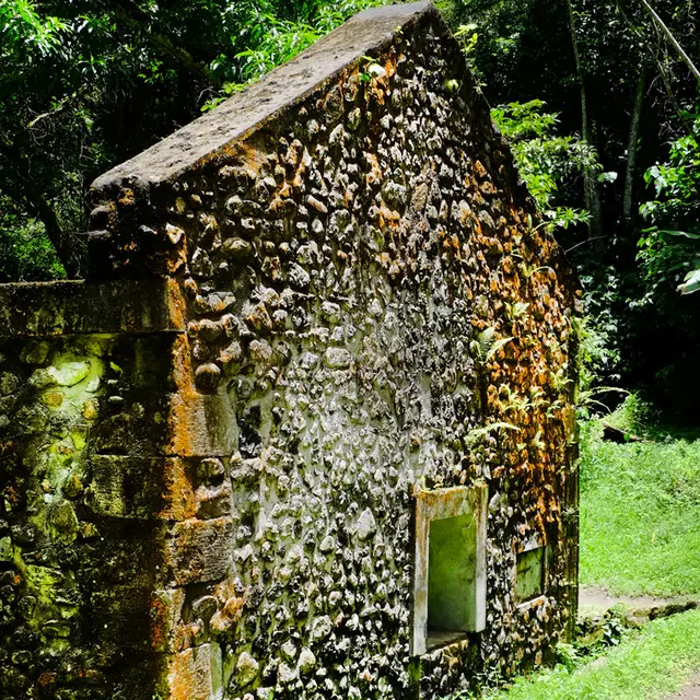 man tard 4 copie.jpg