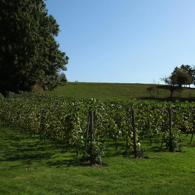 clos fontaine 3.jpg