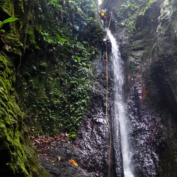 Capture d’écran 2018-05-1 copie.jpg