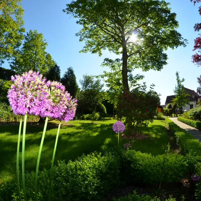 DSC_0766.JPG