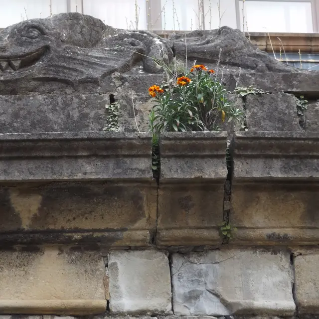 DSCF1383.JPG