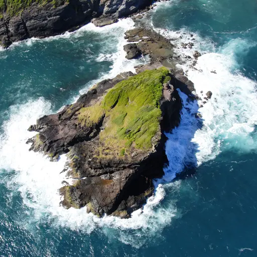 ilet lapin 1 copie.jpg