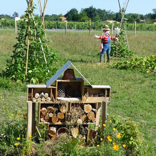 Permaculture.jpg