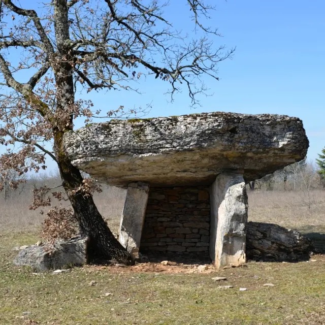 dolmen de Ferrières.JPG