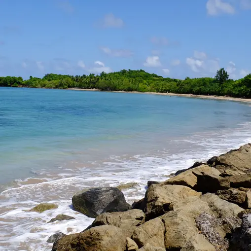 PLA TRI BRE 1 copie.jpg