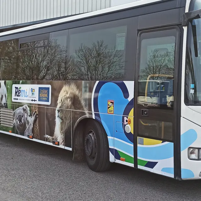 bus beauval 2022.jpg