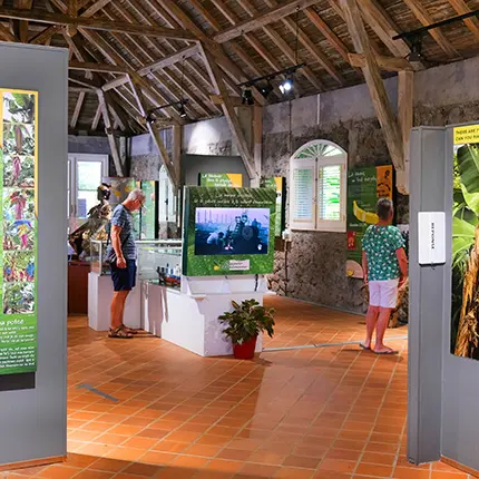 Muséedelabanane-exposition-sainte-marie-martinique.jpg