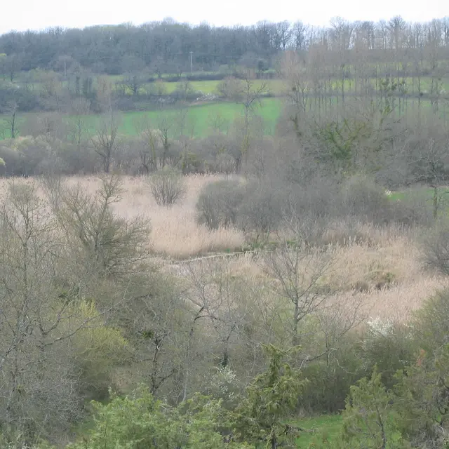 Réserve naturelle Marais de Bonnefont134_3411.JPG