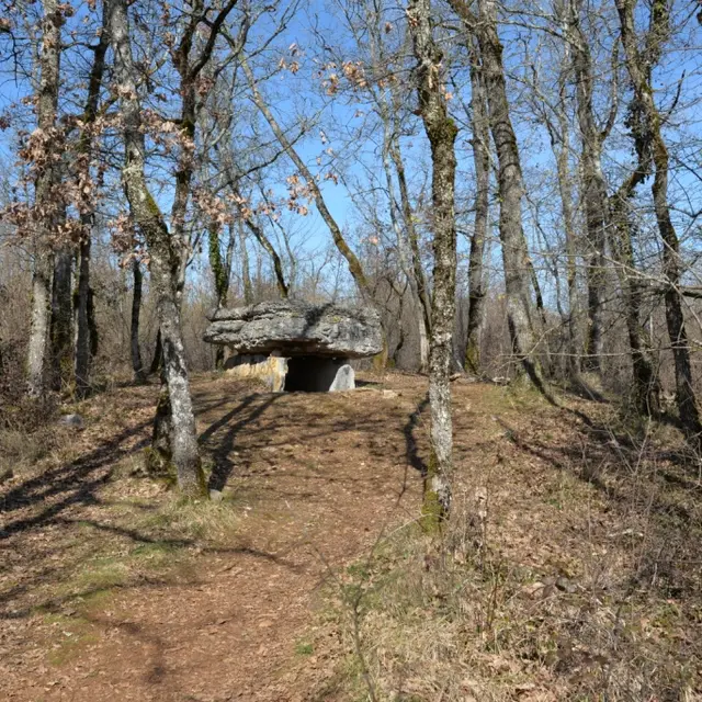 dolmen de Pech Lapeyre.JPG