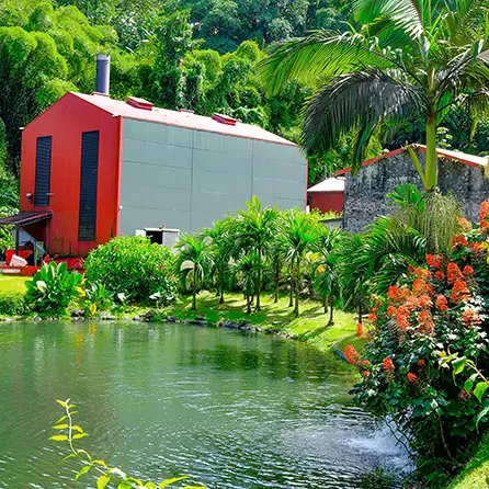 Jardin7-DistillerieJM-Distilleriefondpréville-macouba-martinique.jpg