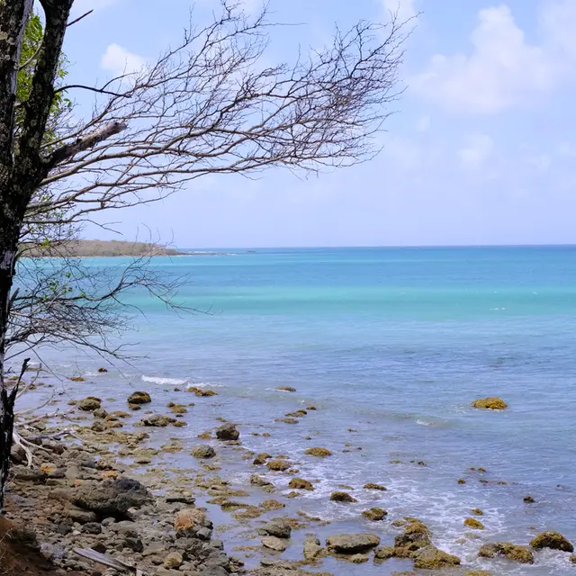 trace des caps 5 - 1.jpg