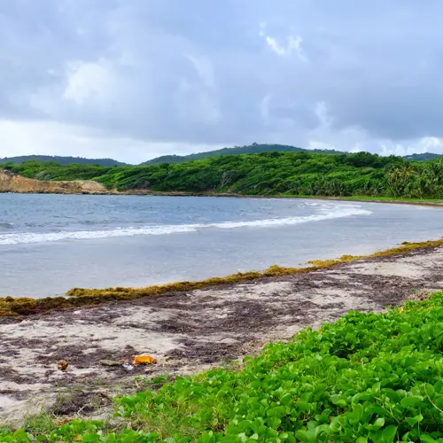 Plag petit mac 3.jpg