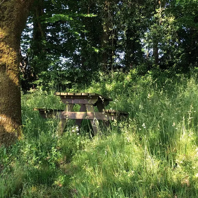 Route de Limerzel 1.jpg