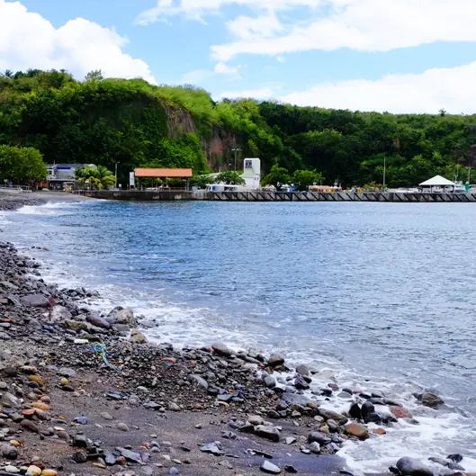 pla cas pi bou 3.jpg