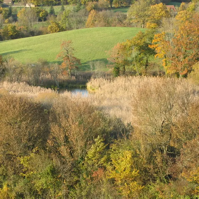 point de vue.JPG