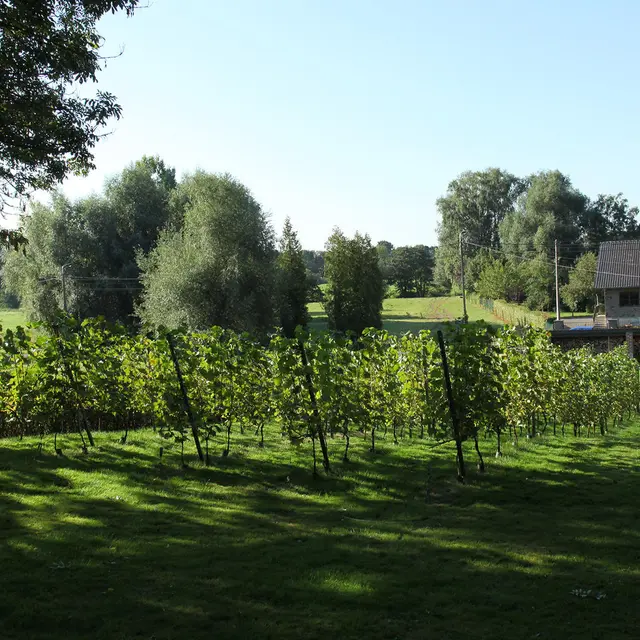 clos fontaine 2.jpg