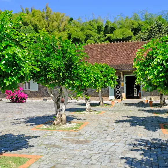 musée de la banane 2.jpg