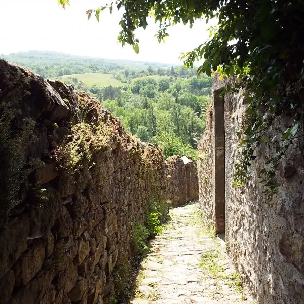 jardin-st-felix-de-sorgue©delphine-atche.jpg