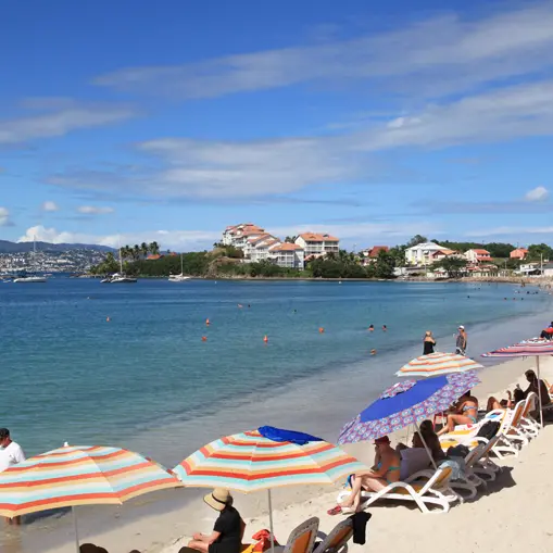 PLA ALA AMI 1 copie.jpg