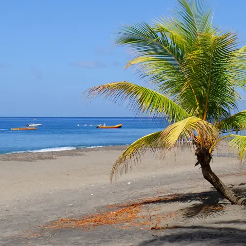 PLA CAR CN 2 copie.jpg