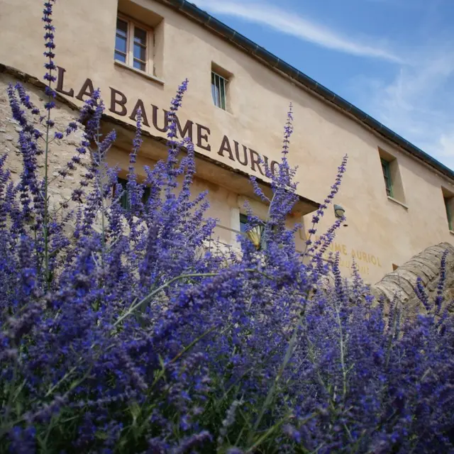 Maison de site au Belvédère de la Baume Auriol -crédit photo CCL&L.jpg