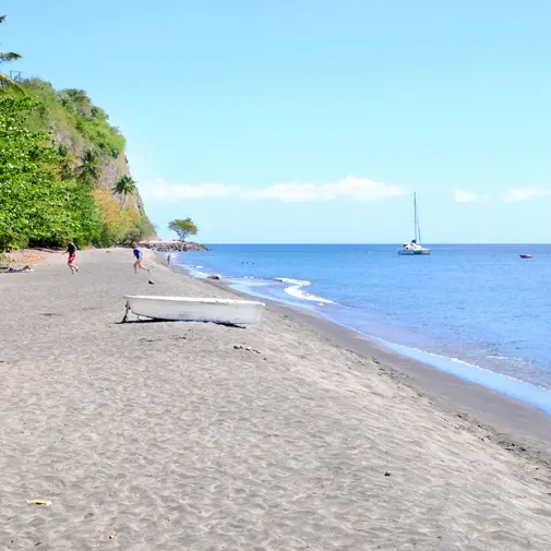 pla car ans tur 1 copie.jpg