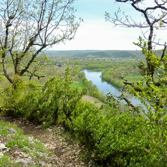 Roc-Coulon---Point-de-vue-sur-la-vallee---Lot-Tourisme---C.-Sanchez.jpg