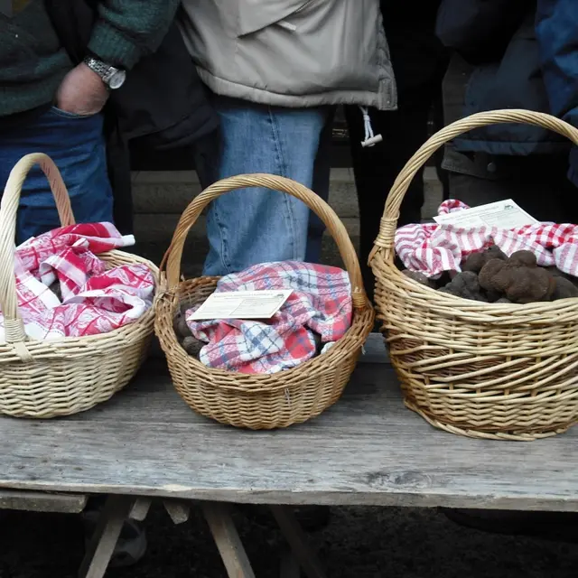 truffe 006.jpg