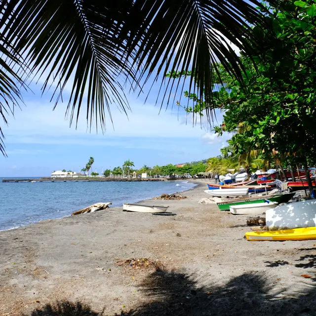 PLA SCH CSN 1 copie.jpg