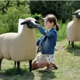 mouton.jpg