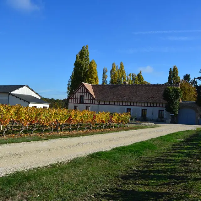 domaine-automne-2018.jpg