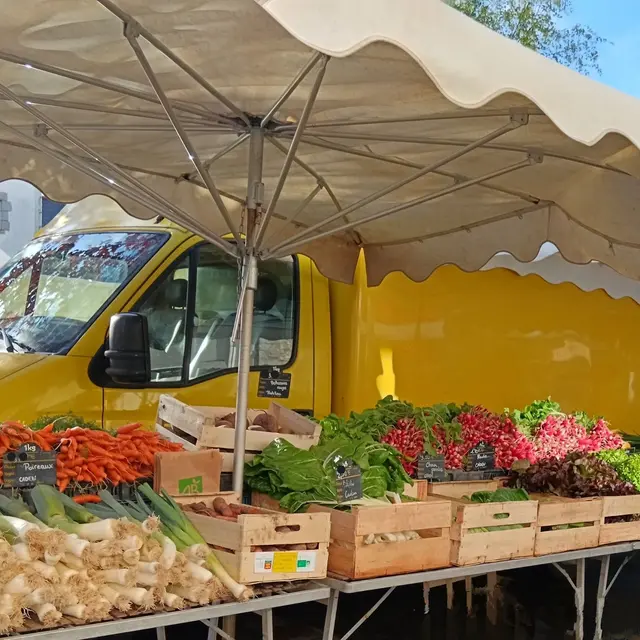 Photo les Biaux Légumes-Etal printemps.jpg