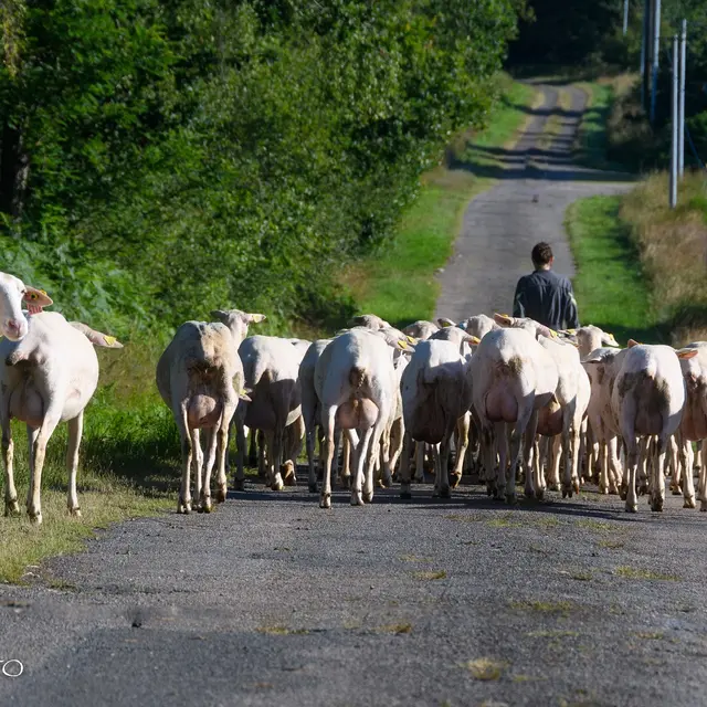 Catherine Dalberto2.jpg