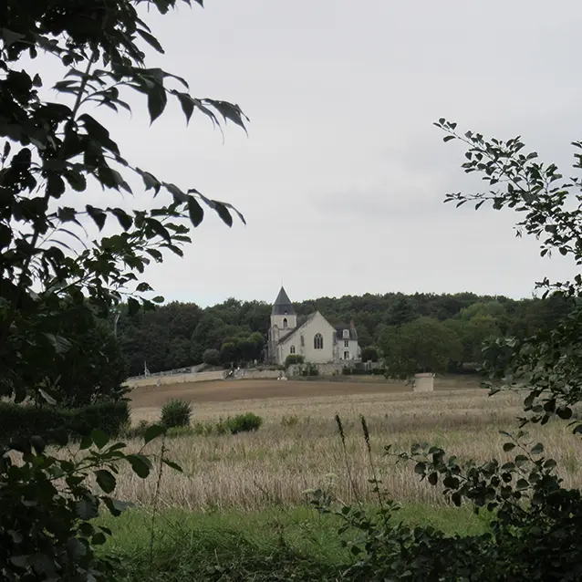 rinceaux st secondin_OT Blois Chambord.jpg