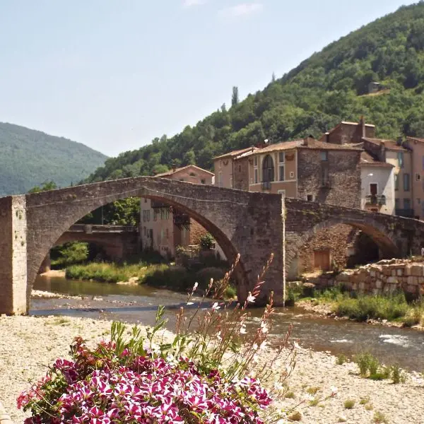 pont-vieux-st-affrique ©delphine-atche.jpg