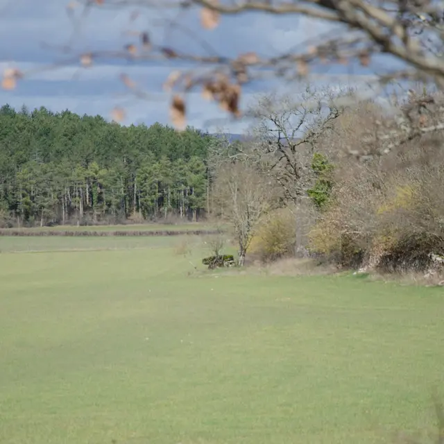 POI 7 - Dolmen de  la combe de Saule 1.jpg