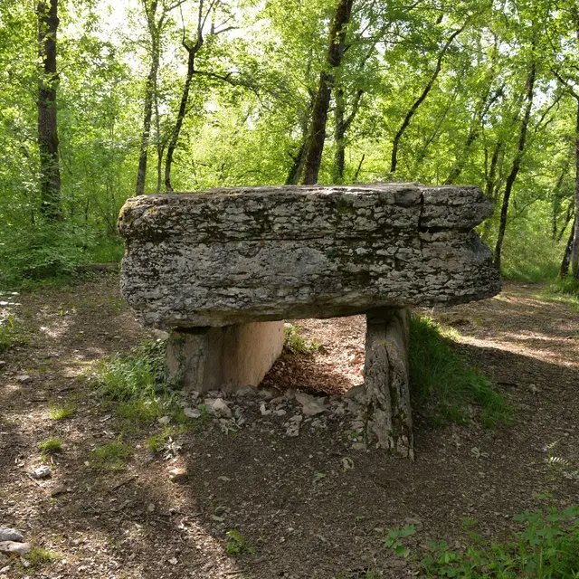 dolmen de Pech Lapeyre2_1.jpg