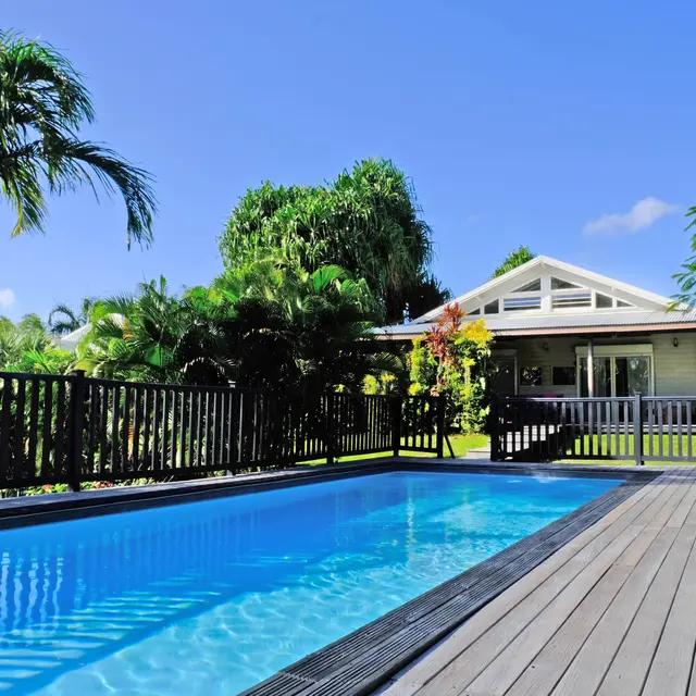 dom de la palm 3.jpg