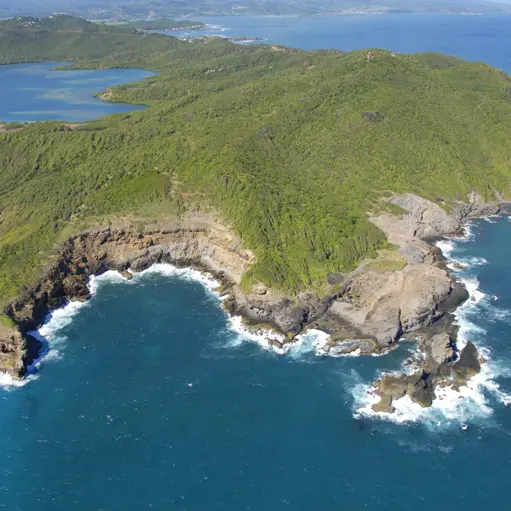 reserve trinite 2.jpg