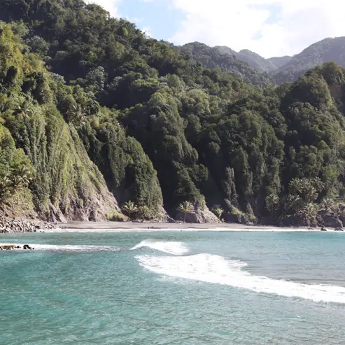 PLA GR SINA 1 copie.jpg