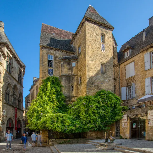 Musee de la Truffe.jpg