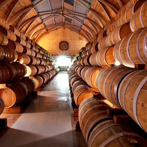 CLEM DIST 4 copie.jpg