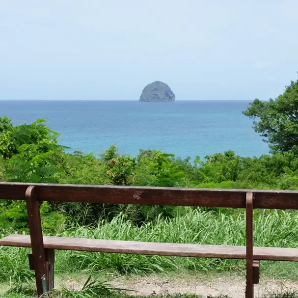 pdv diam 1 copie.jpg