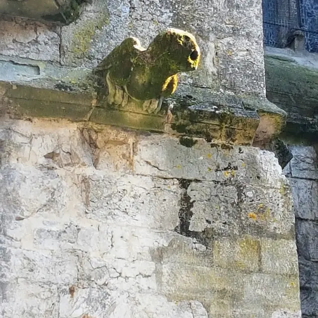 20170614_174757.jpg