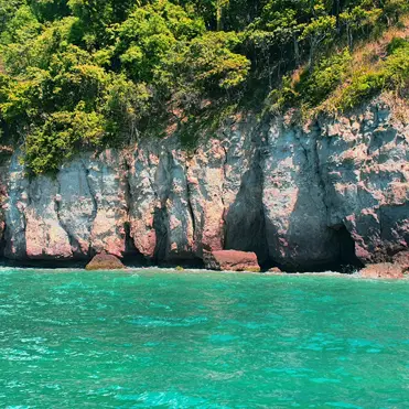 falco 3 fal belle .jpg