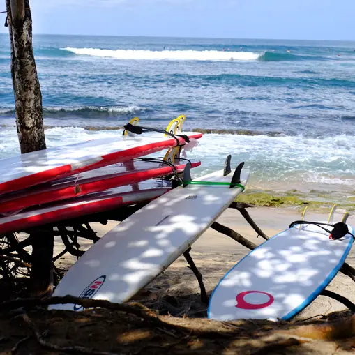 PLA TRI ABO 1 copie.jpg