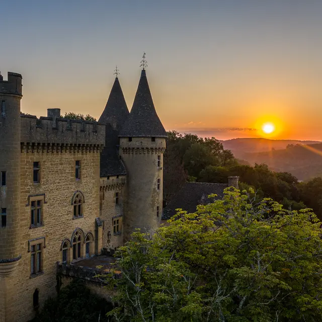 DJI_0608-Puymartin-xs©Déclic&Décolle.jpg