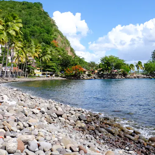 PLA BO BEL 2 copie.jpg